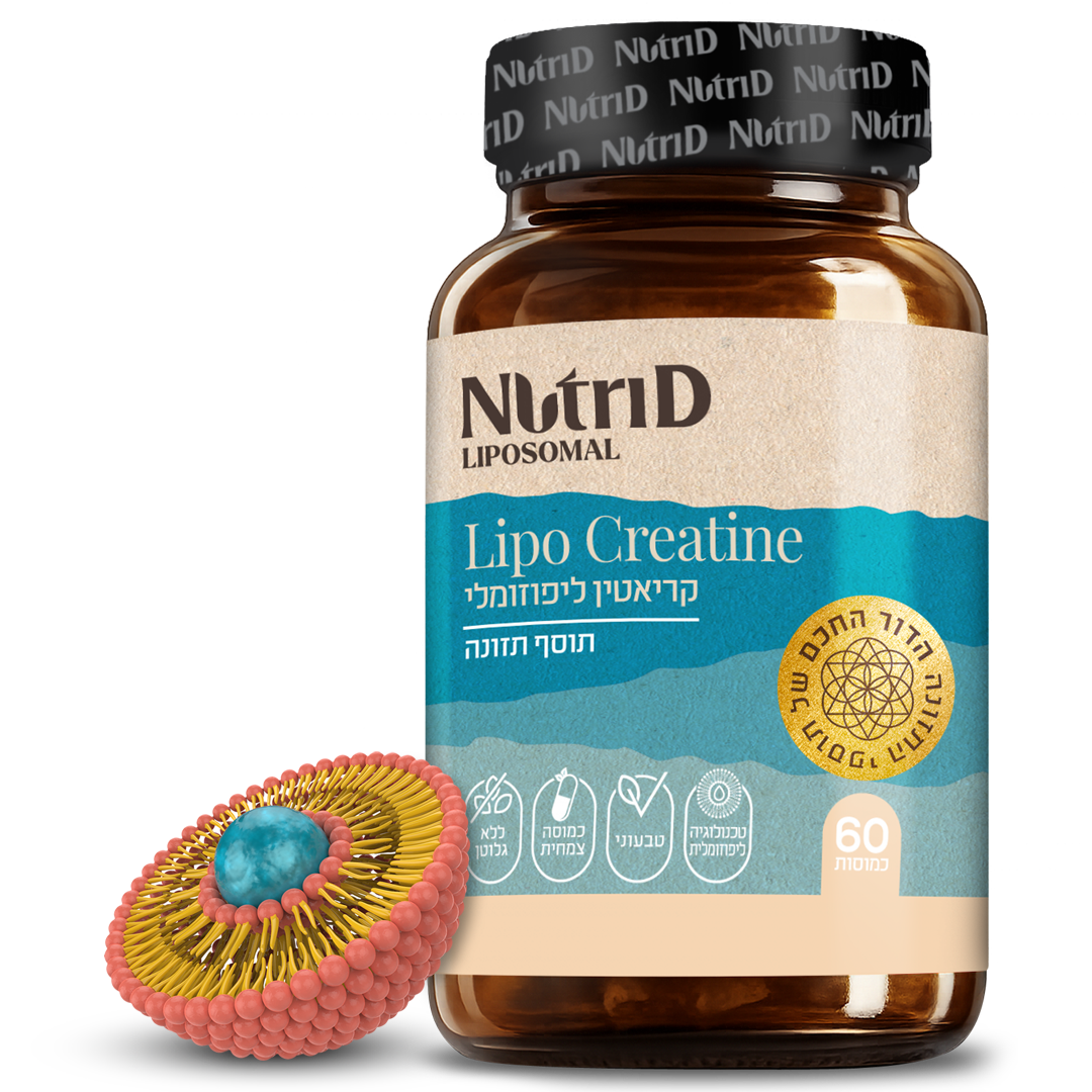 Lipo Creatine - קריאטין ליפוזומלי